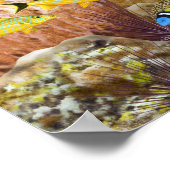 ナースシャークオーバーコーラルリーフ ポスター (角)