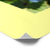 ナースポスターは患者満足度に特化 ポスター (角)