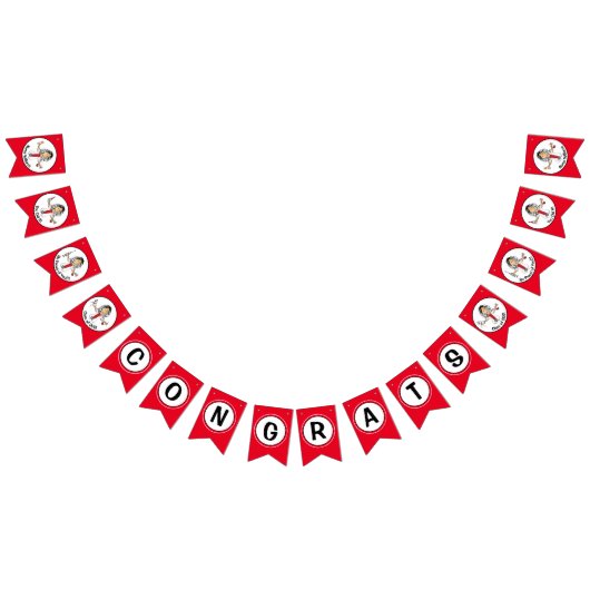 ナース卒業カスタムRN LPA CNAバナー バンティングフラッグ (全)