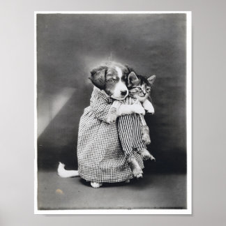 ナース子犬ハリーホイッティエ1914年を解放 ポスター