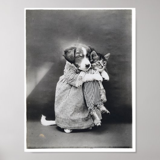 ナース子犬ハリーホイッティエ1914年を解放 ポスター (正面)