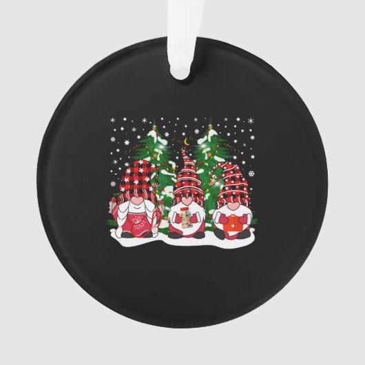 ナース格言サンタクリスマスライトナーシンググノーミー オーナメント (正面)