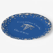 ナース看護学校卒業パーティーブルシルバー ペーパープレート (アングル)