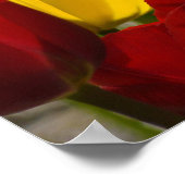 ナース週間ポスターチューリップ私たちのナースを感謝! ポスター (角)