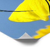 ナース週間oustersありがとう献身RN ポスター (角)