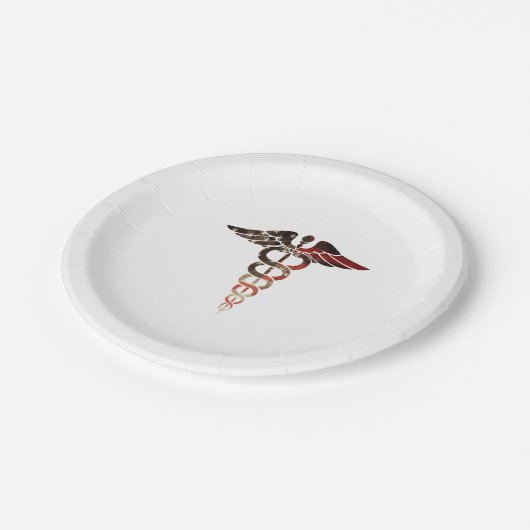 ナースDr.素晴らしEmtのための愛国国旗Caduceus ペーパープレート (アングル)