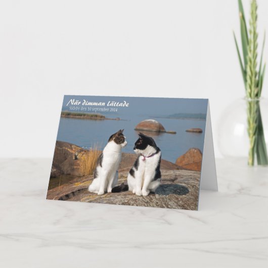 ナーディマントレードCC0548サイドバイグリーティングカード カード (正面)