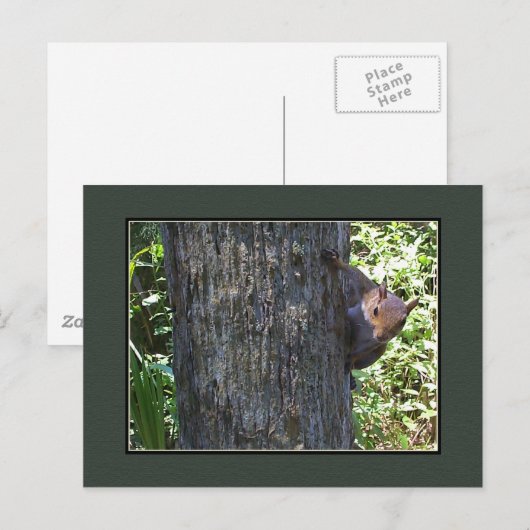 ナ得ッツ？? ポストカード (正面/裏面)