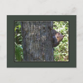 ナ得ッツ？? ポストカード (正面)