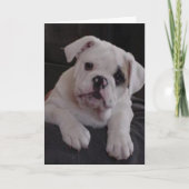 ナ恋しく思ラ カード (正面)