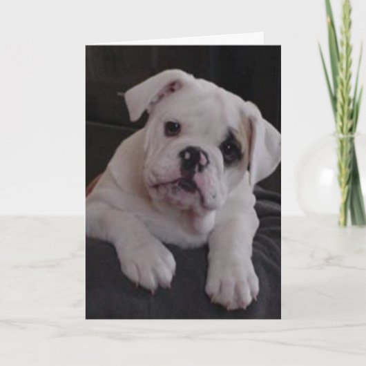 ナ恋しく思ラ カード (正面)