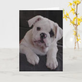 ナ恋しく思ラ カード (黄色い花)