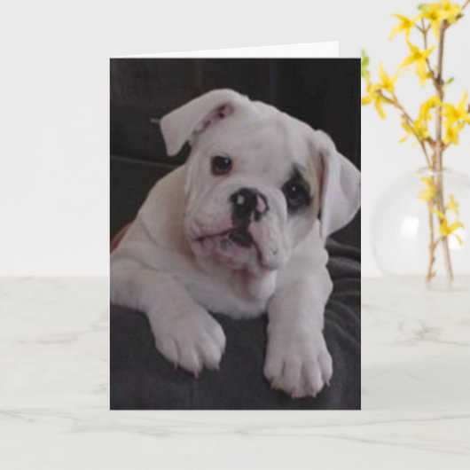 ナ恋しく思ラ カード (黄色い花)