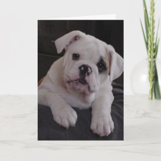 ナ恋しく思ラ カード