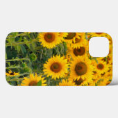 ナ、アメリカ、コロラド、サンフラワーズ Case-Mate iPhoneケース (裏面 (横))