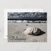 ニアブラック&ホワイトのカスタム先 ポストカード (正面/裏面)