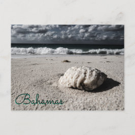 ニアブラック&ホワイトのカスタム先 ポストカード