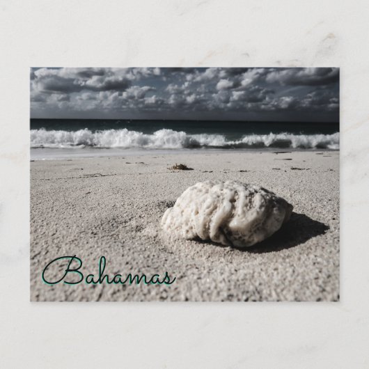 ニアブラック&ホワイトのカスタム先 ポストカード (正面)