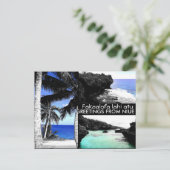 ニウエさんからの挨拶 – はがき (スタンド正面)