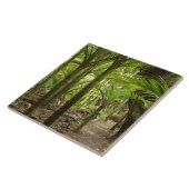 ニカウパームス、ヘーフィー·トラック、カラメア近く タイル (側面)