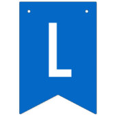 ニカラグアの誕生日パーティーの飾り旗 バンティングフラッグ (第3の旗)