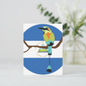 ニカラグアターコイズ茶色のモットモットトロゴス ポストカード (スタンド正面)