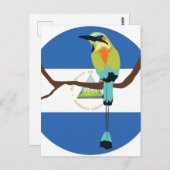 ニカラグアターコイズ茶色のモットモットトロゴス ポストカード (正面/裏面)