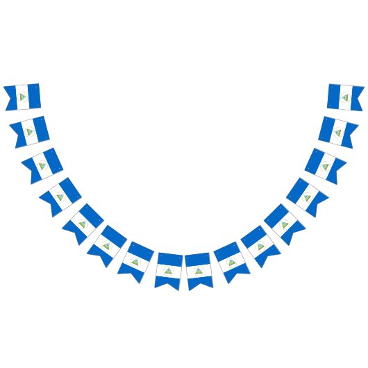 ニカラグア国旗 バンティングフラッグ (全)