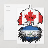 ニカラグア・ニカラグアカナダツリールーツ ポストカード (正面/裏面)