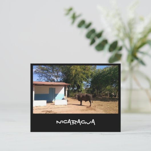 ニカラグア ポストカード (スタンド正面)