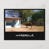 ニカラグア ポストカード (正面)