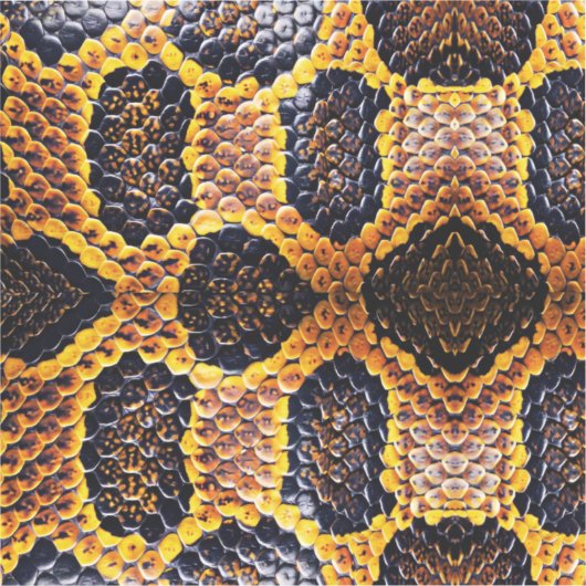 ニキヘビの皮 シール (正面)