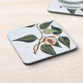 ニクズク、「コレクションPrecieuseとEnlからのプレート7、 コースター (左側)