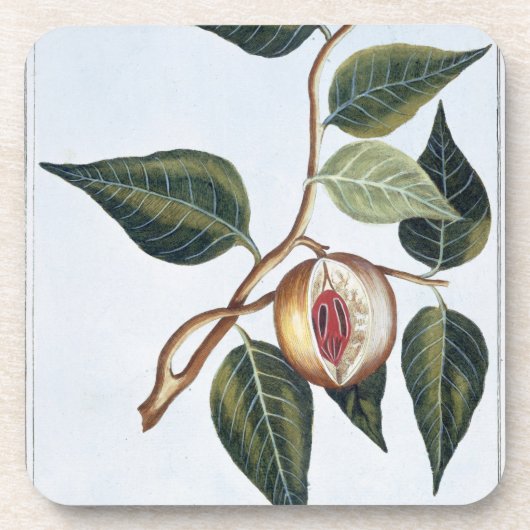 ニクズク、「コレクションPrecieuseとEnlからのプレート7、 コースター (正面)