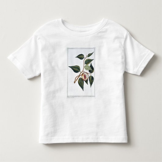 ニクズク、「コレクションPrecieuseとEnlからのプレート7、 トドラーTシャツ (正面)