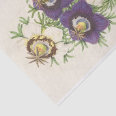 ニゲラヒスパニカバイチャールズアントイネレマイア 薄葉紙 (詳細)