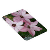 ニコチニア星花 マグネット (右側)