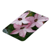 ニコチニア星花 マグネット (左側)