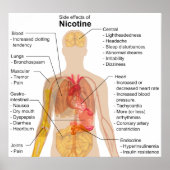 ニコチンのヒト体図への副作用 ポスター (正面)