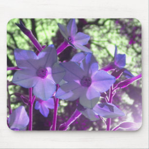 ニコティアナ海綿花 マウスパッド