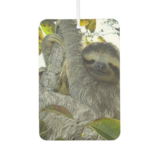 ニコニコハートエアーフレッシュナーエメラルドシー カーエアーフレッシュナー (正面)