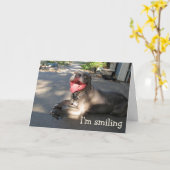 ニコニコピットブルアニバーサリーカード カード (黄色い花)