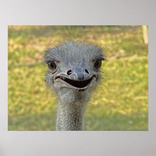 ニコニコプリント ポスター (正面)