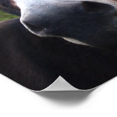 ニコニコプリント ポスター (角)