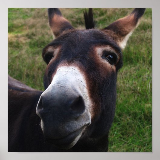 ニコニコプリント ポスター (正面)