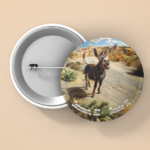 ニコニコ，オータマンアリゾナ州，国道66号