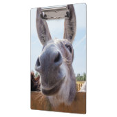 ニコニコDonkeyクリップボード クリップボード (左)