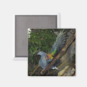 ニコバルハト波 マグネット (正面/裏面)