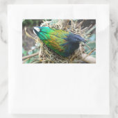 ニコバルピジョンオンネスト 長方形シール (バッグ)