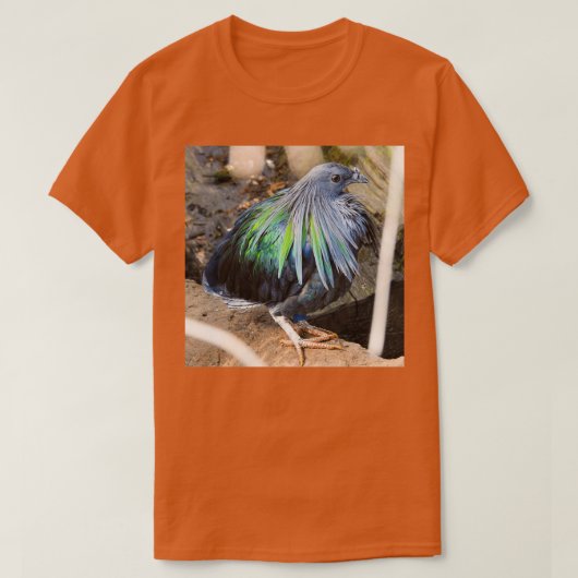 ニコバル4 Tシャツ (デザイン正面)